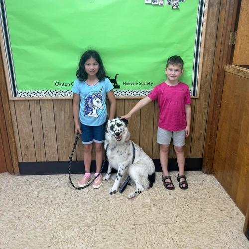 cchs adopted pets image 3