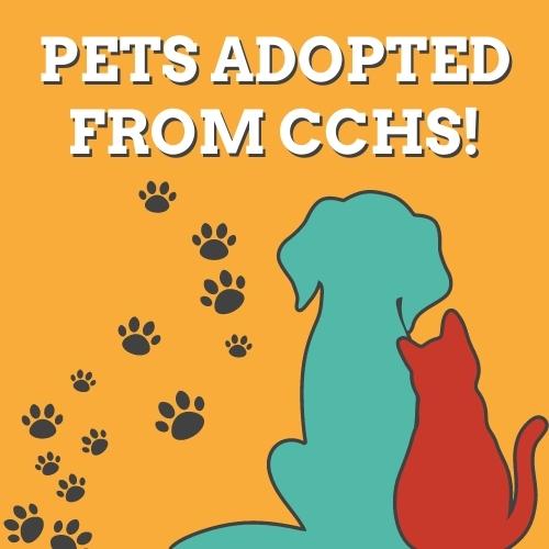 pets adopted from cchs